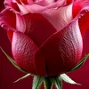 a._sw3