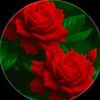 md.minarul715
