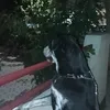 antonio_j1968
