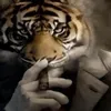 wwuusseemm
