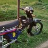 p4dol22