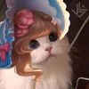 denicawww