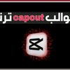 www.tiktok.cap.cat
