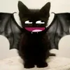 bnwtoon