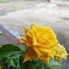 ramlahariffin3