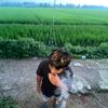 ndol_ol