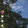 waleed.adel959