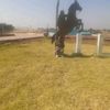 intala.shawaa4