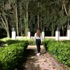 tatiana.mulgado