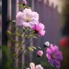 mdemrankhan4853