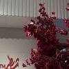 do_11241