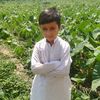 user4315305152924