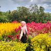 clarapndekk18