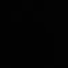 444xix