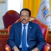 mohamedmao64