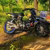 anen.5tp