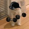 amcalisthenics