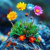davood.norzayi