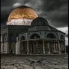 mohammadqasim1973_