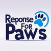 response for paws 🐾🐾