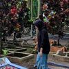 anisa.syahputri.g