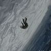 wak_din44