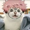 lnxx_cool