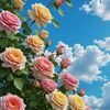 user49619827460655