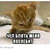 poli.n.kaa3