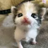 alixxx_48