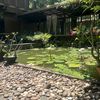 natacha_220457