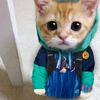 user3118495104150