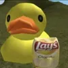 patito_w12