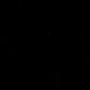 nadirosadi4