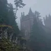 autisticpenis