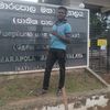 dananjaya.max3