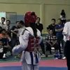 ghazi_804_