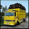 vivoy02337