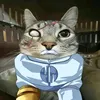 kanje.vest