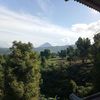orangygkmubuang756