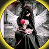 hasiba725