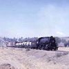 concho6184