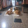 antony90704