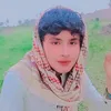 00361937625asad
