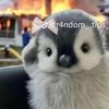 naliya_ruiz