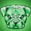 puppy.zwolle