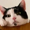 momfritz1