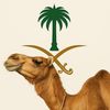 bassam.alqahtani5