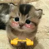 thwnguyen24