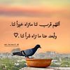 m.ksa24